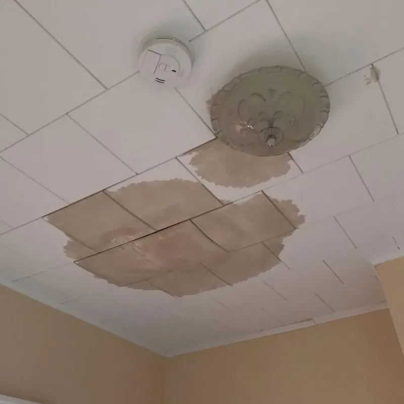 Ceiling Water Damage Repair in Kandiyohi County, MN