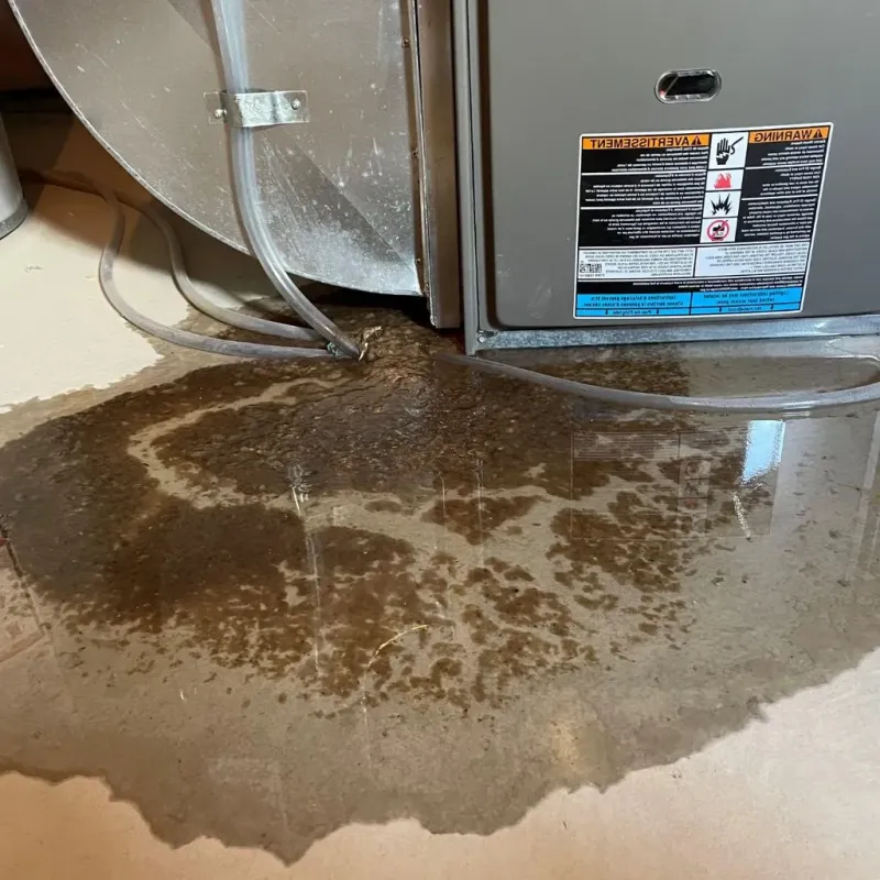 Pipe Burst and Leak Restoration in Kandiyohi County, MN