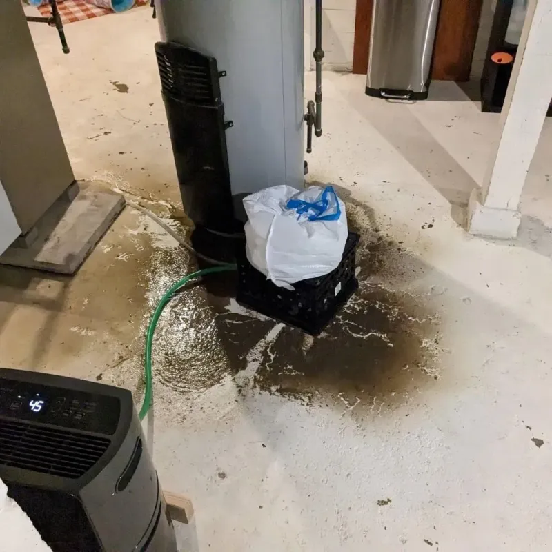 Sewage Backup Cleanup Service in Kandiyohi County, MN